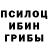 Псилоцибиновые грибы GOLDEN TEACHER Shad1k