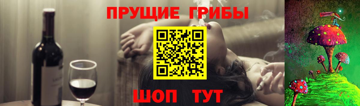 Мытищи  Псилоцибиновые грибы GOLDEN TEACHER  Вход с VPN 